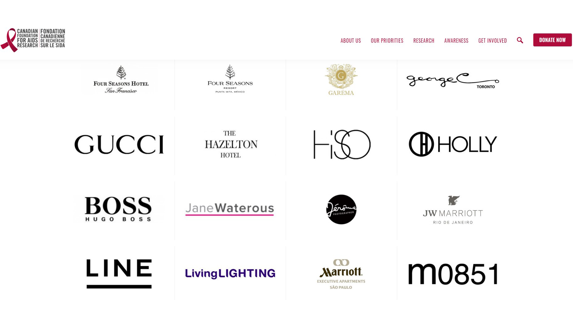 HiSO sponsorship for CANFAR Bloor Street Entertains